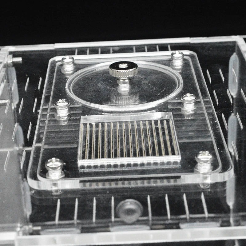 Terrarium pour fourmis – Acrylique plâtre écologique