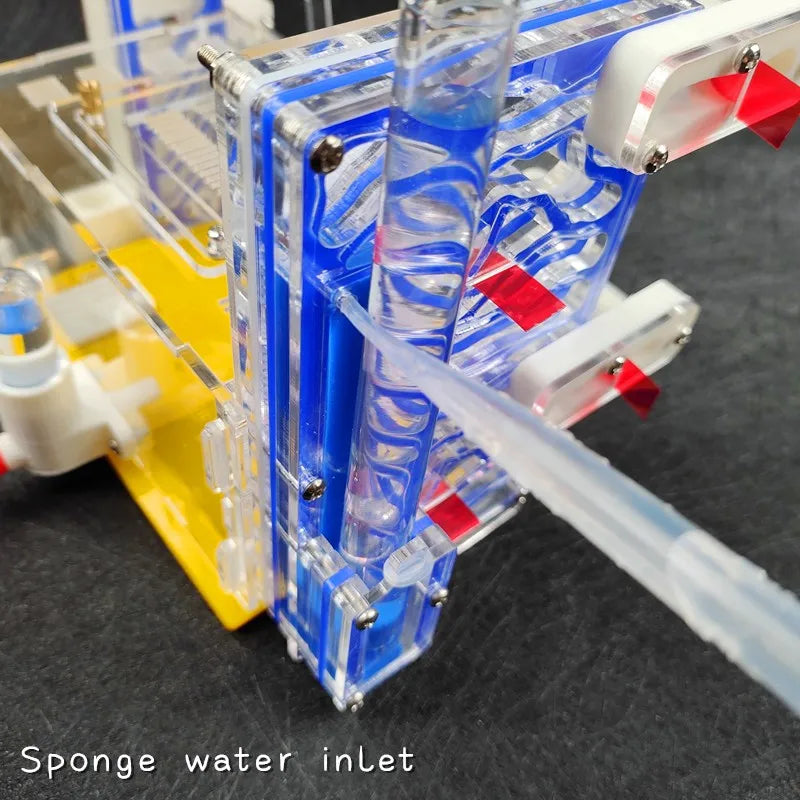 Terrarium pour fourmis – Acrylique galerie modulaire