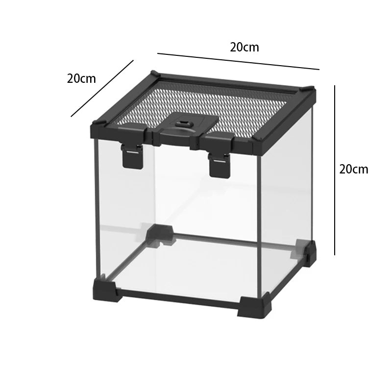 Terrarium pour phasmes – Verre haut respirant