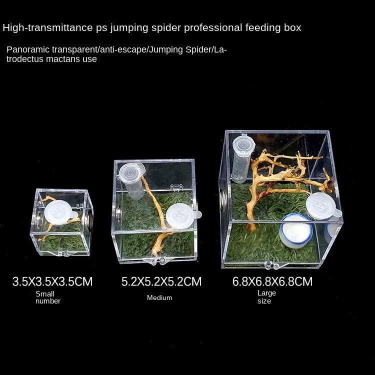 Terrarium pour phasmes – Acrylique clair vertical