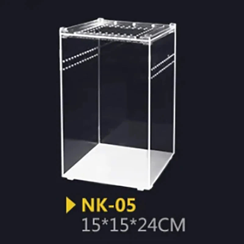 Terrarium pour phasmes – Acrylic léger aéré