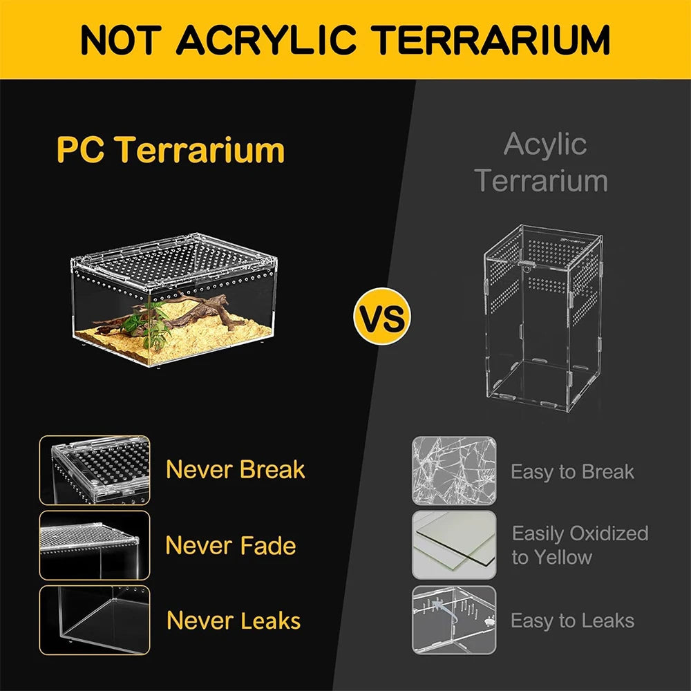 Terrarium pour phasmes – Acrylic léger aéré