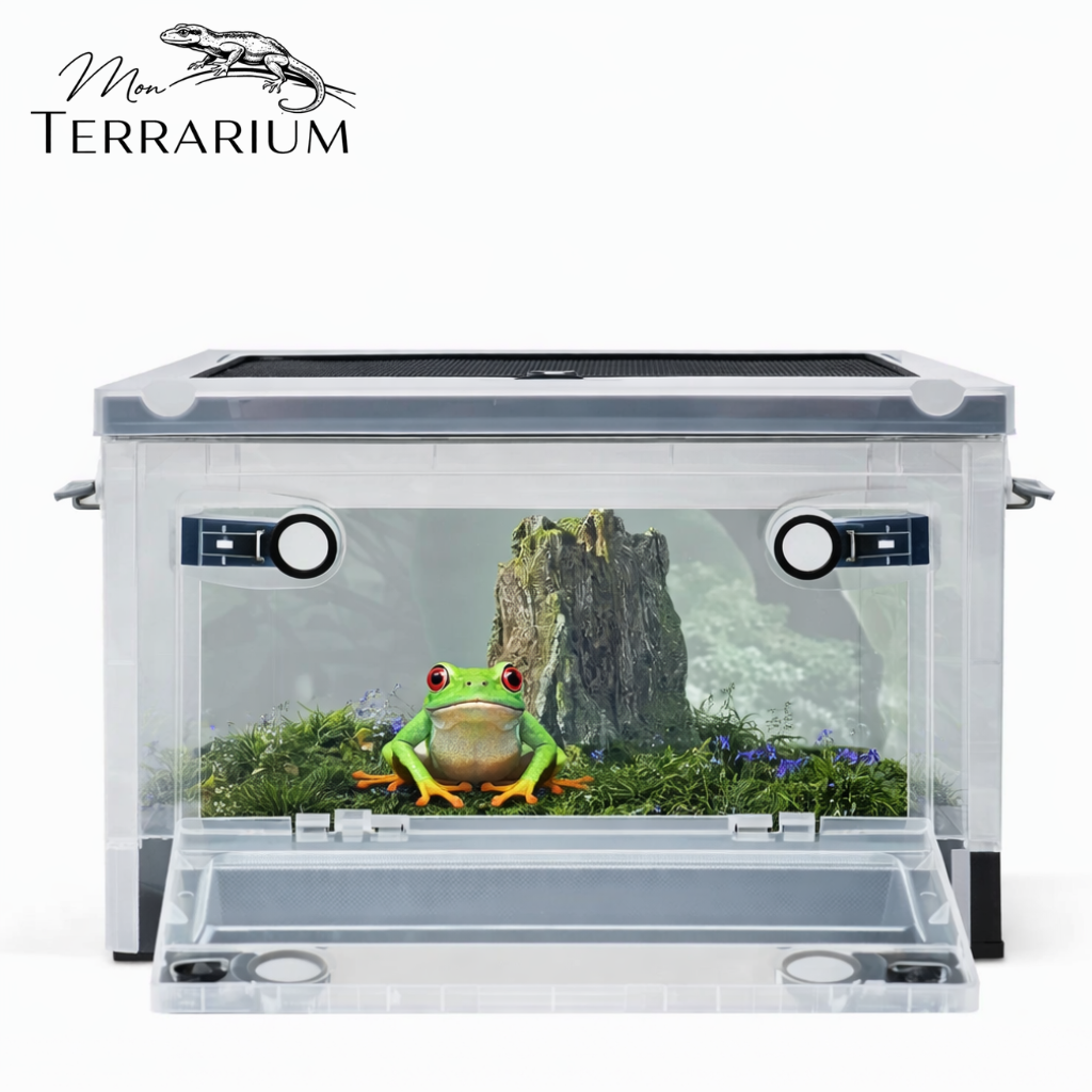 Terrarium pour grenouilles – Plastic humide facile
