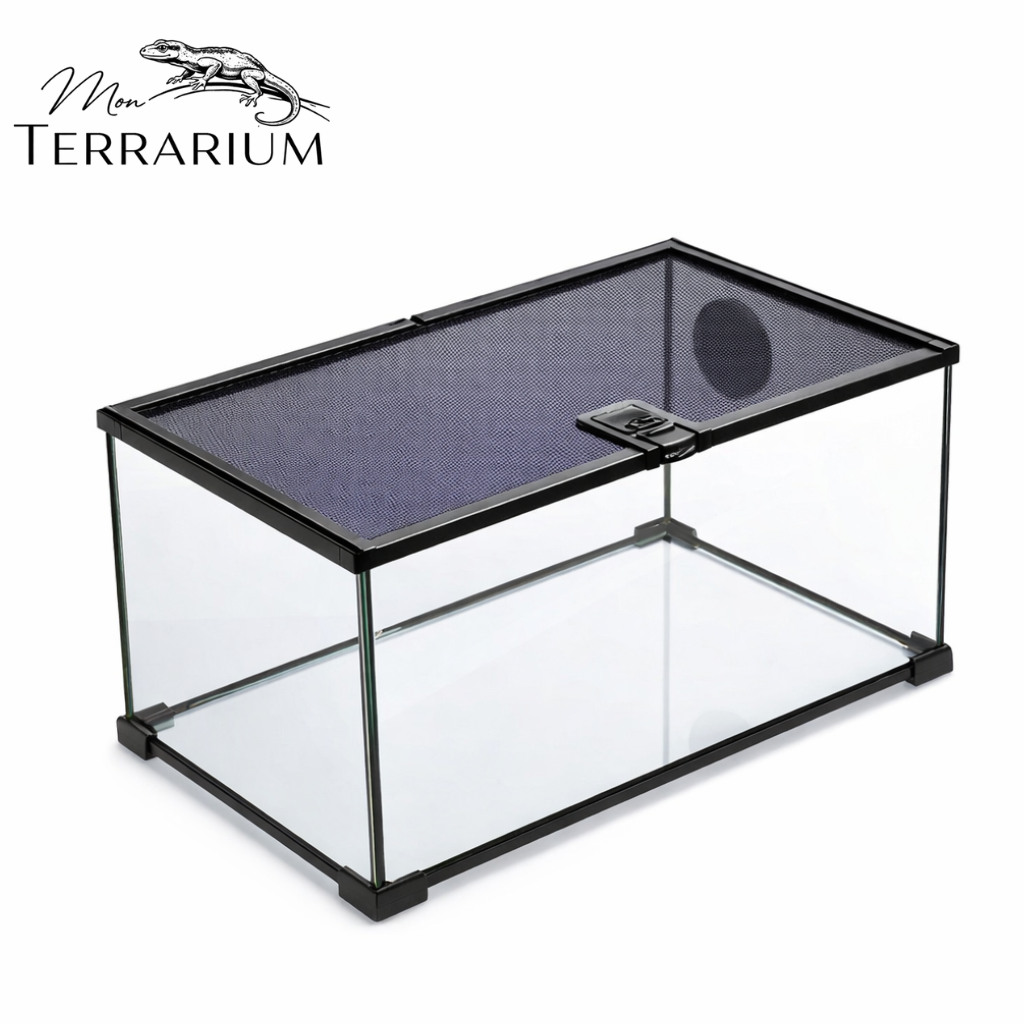 Terrarium pour phasmes – Verre ventilé vertical