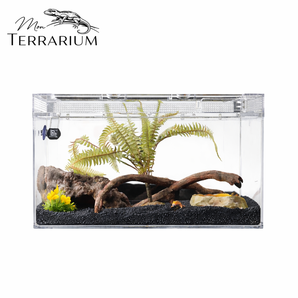 Terrarium pour phasmes – Plastic léger sécurisé