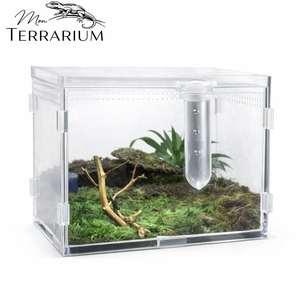 Terrarium pour escargots – Acrylique mini humide